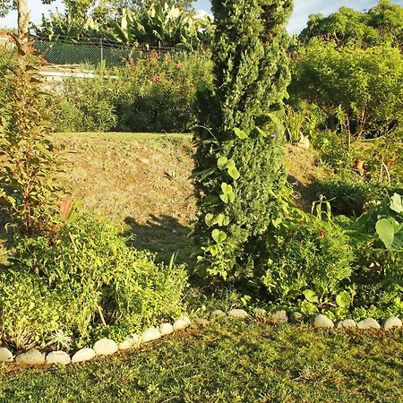 Rochas Shared Apart Garden Refuge Funchal  Extérieur photo