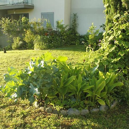 Rochas Shared Apart Garden Refuge Funchal  Extérieur photo