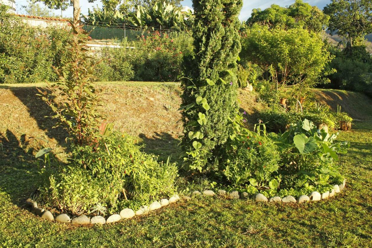 Rochas Shared Apart Garden Refuge Funchal  Extérieur photo
