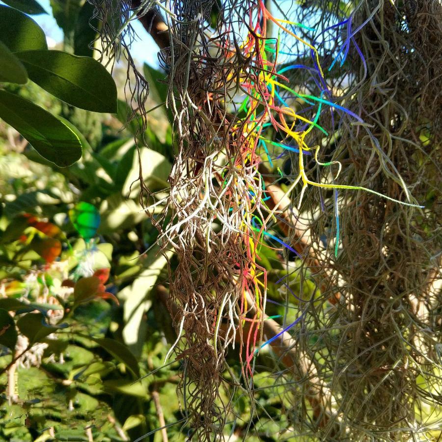 Rochas Shared Apart Garden Refuge Funchal  Extérieur photo